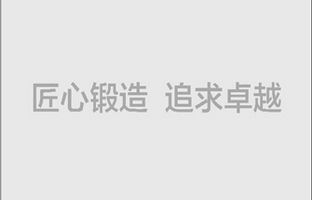 2015年11月沈阳和长春效劳处相继建立